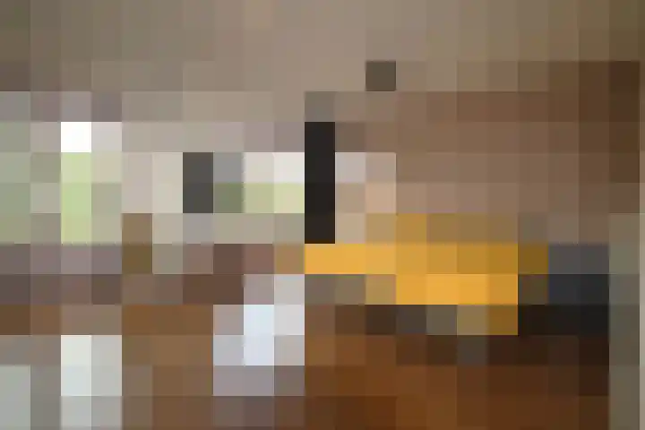 It Waarlamke 9 Bolsward thumbnail 25