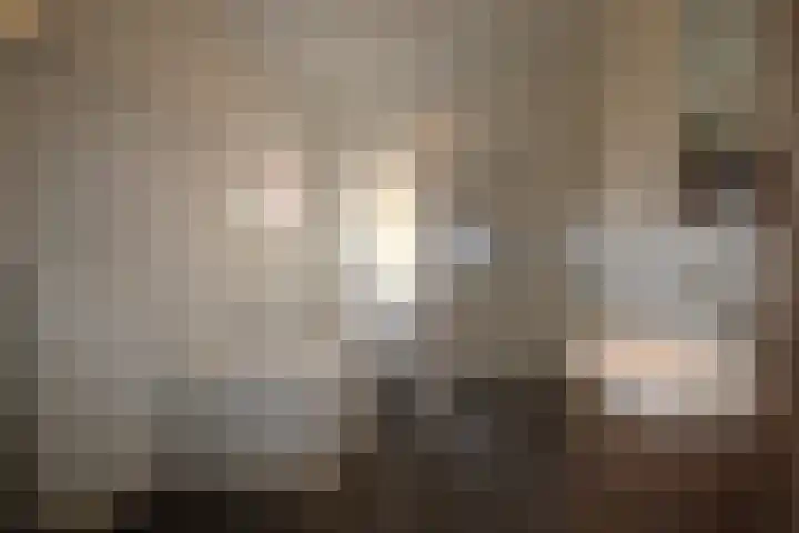 It Waarlamke 9 Bolsward thumbnail 29