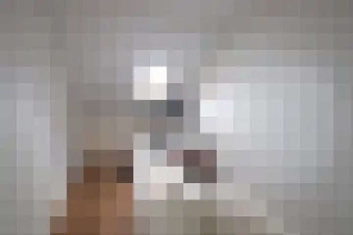 It Waarlamke 9 Bolsward thumbnail 32