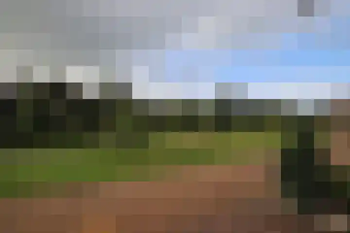 It Waarlamke 9 Bolsward thumbnail 4