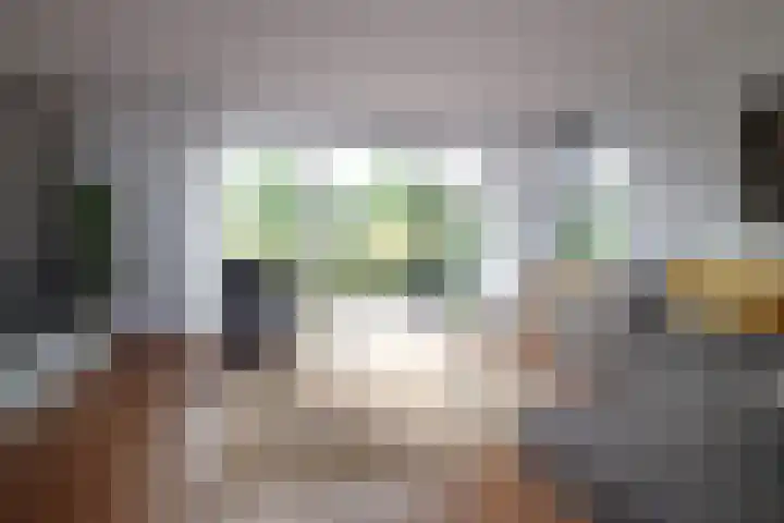 It Waarlamke 9 Bolsward thumbnail 6