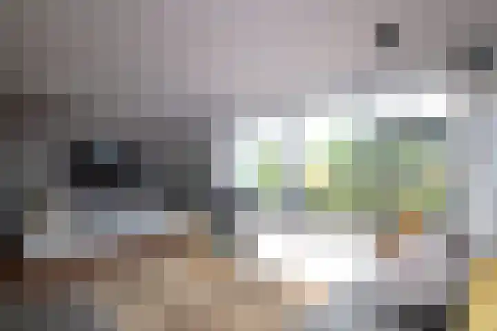 It Waarlamke 9 Bolsward thumbnail 7