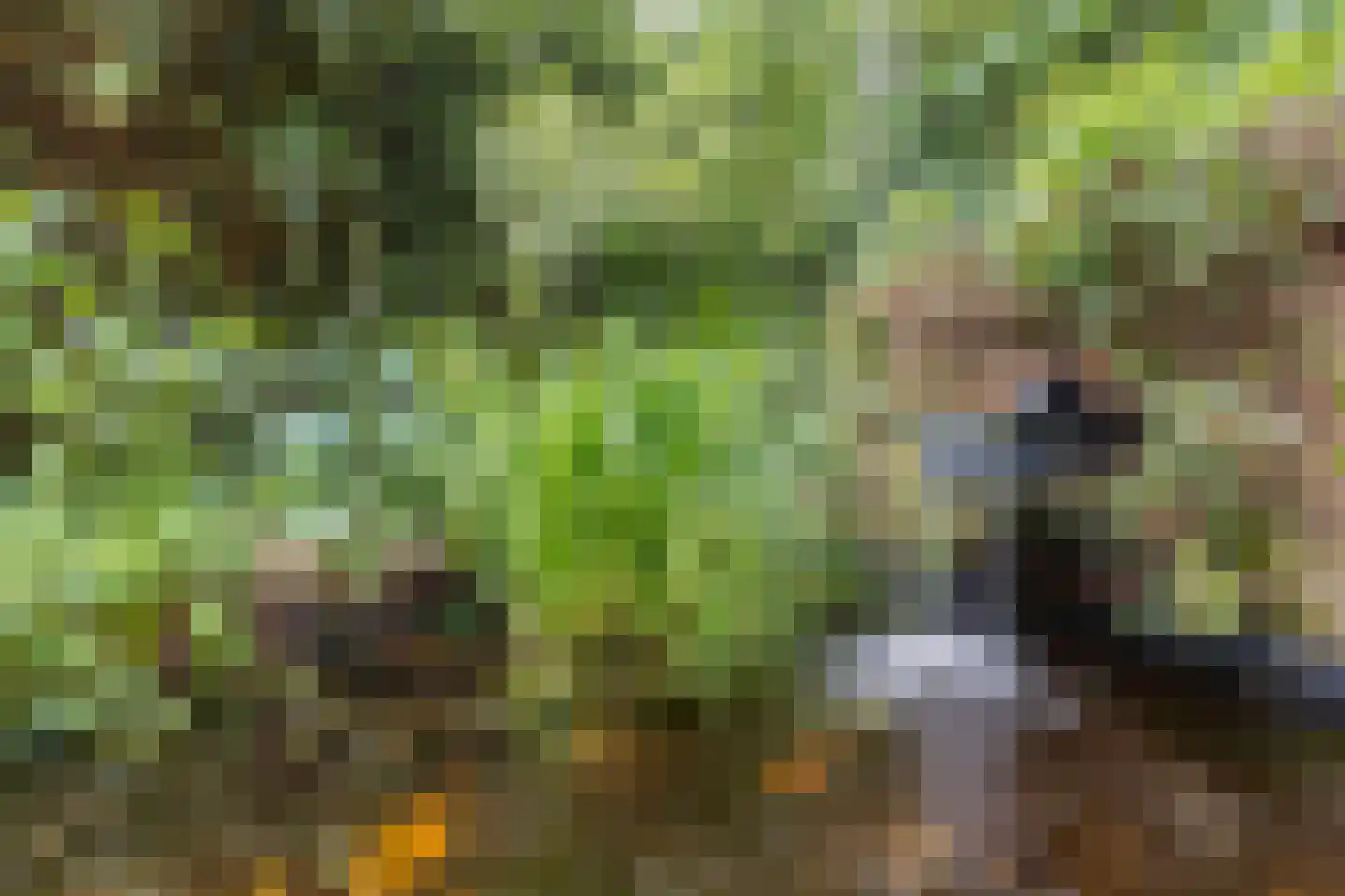 It War 13 Menaam thumbnail 36