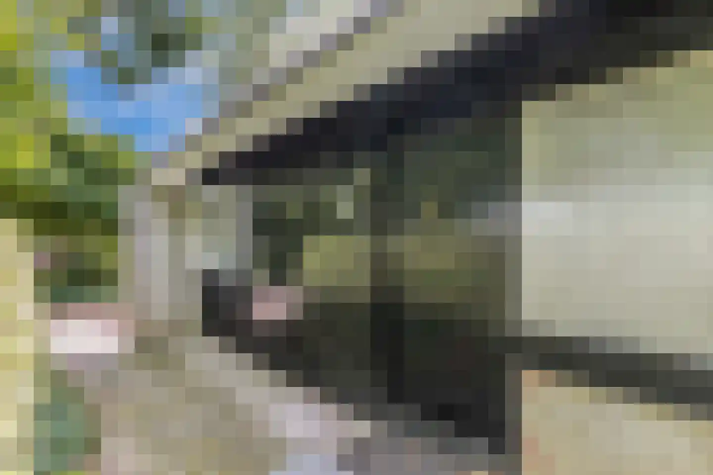 It War 13 Menaam thumbnail 5