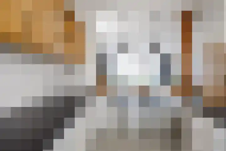 It Weidlân 19 Akkrum thumbnail 13