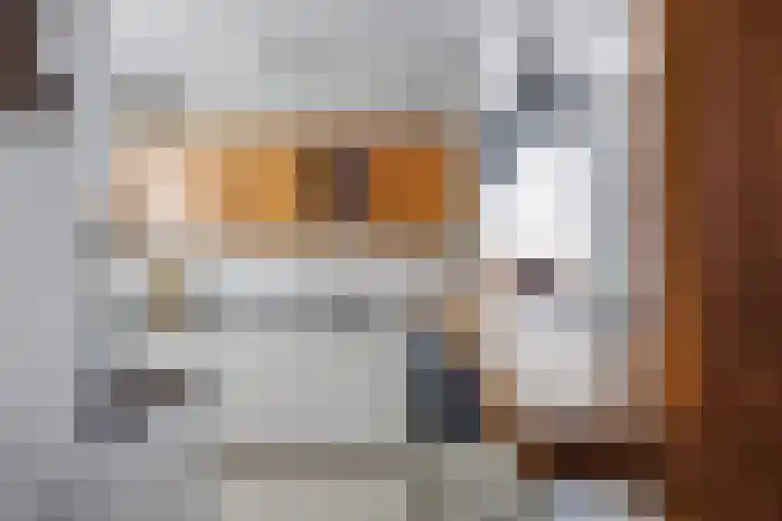 It Weidlân 19 Akkrum thumbnail 15