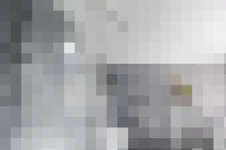 It Weidlân 19 Akkrum thumbnail 22