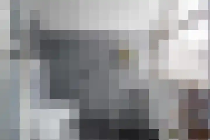 It Weidlân 19 Akkrum thumbnail 24