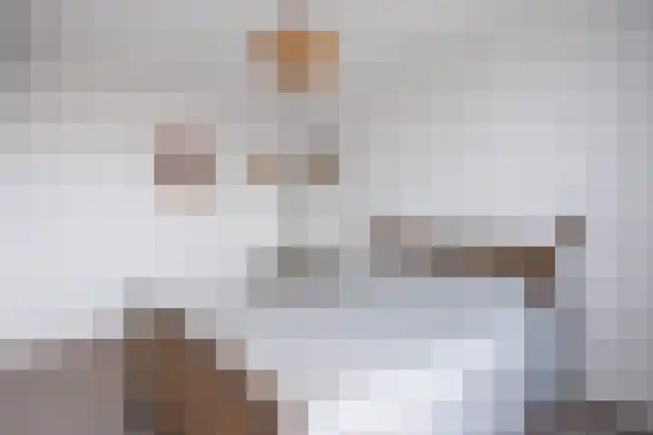 It Weidlân 19 Akkrum thumbnail 26