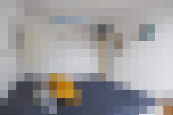 It Weidlân 19 Akkrum thumbnail 28