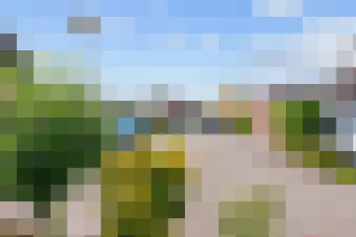 It Weidlân 19 Akkrum thumbnail 32
