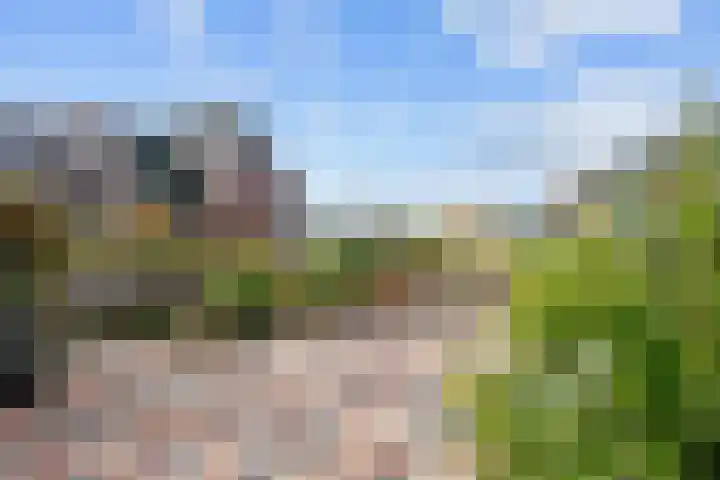 It Weidlân 19 Akkrum thumbnail 33