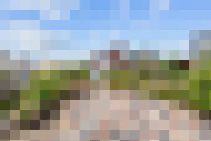It Weidlân 19 Akkrum thumbnail 34