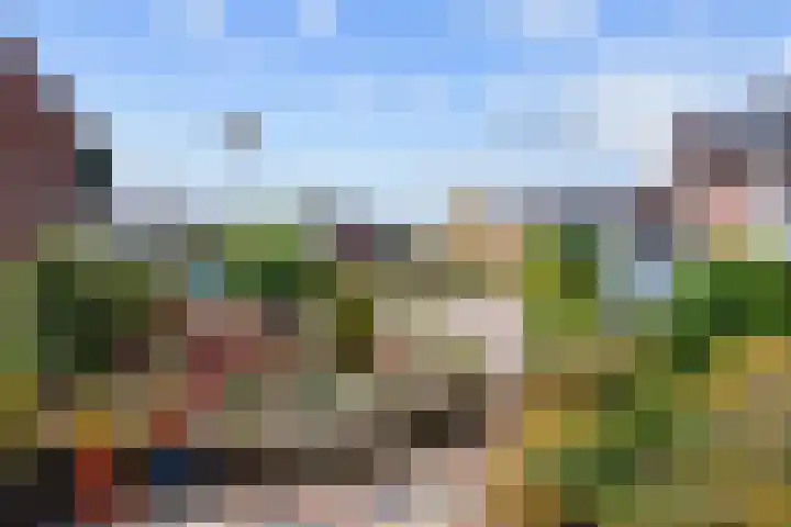 It Weidlân 19 Akkrum thumbnail 35