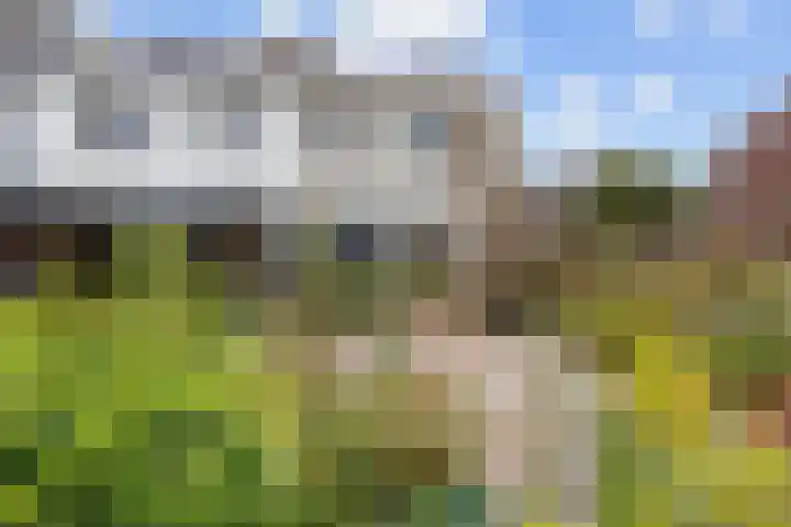 It Weidlân 19 Akkrum thumbnail 36