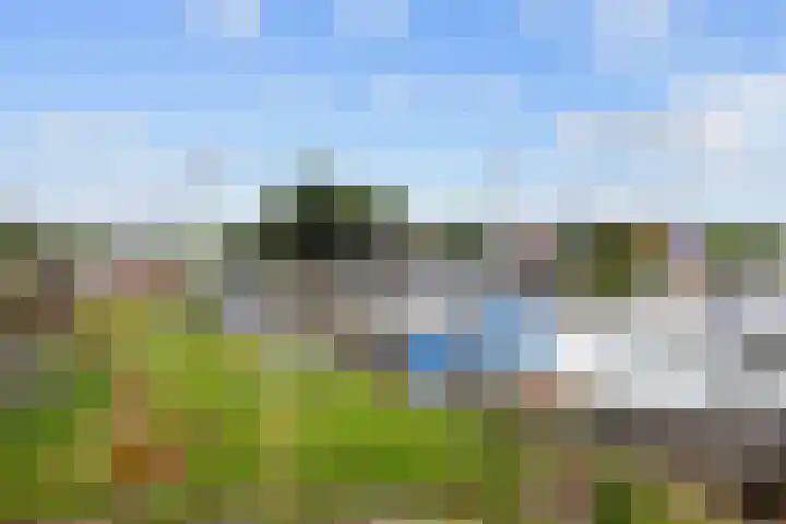 It Weidlân 19 Akkrum thumbnail 40