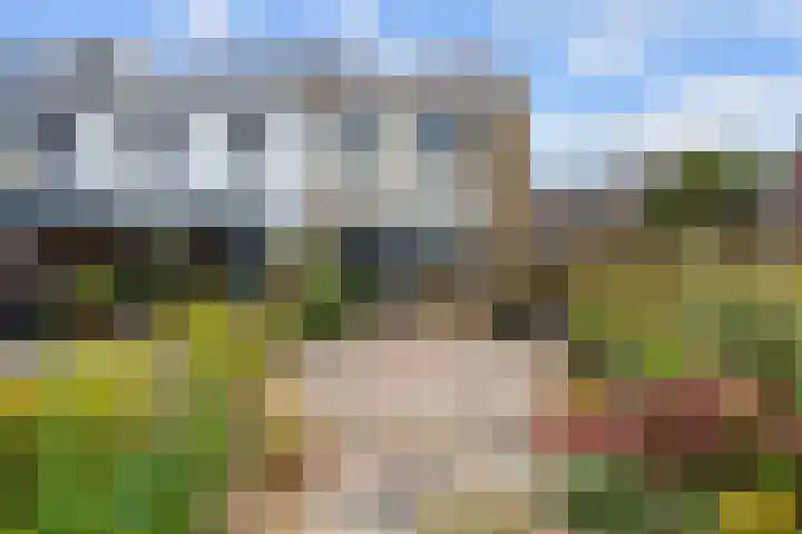 It Weidlân 19 Akkrum thumbnail 49