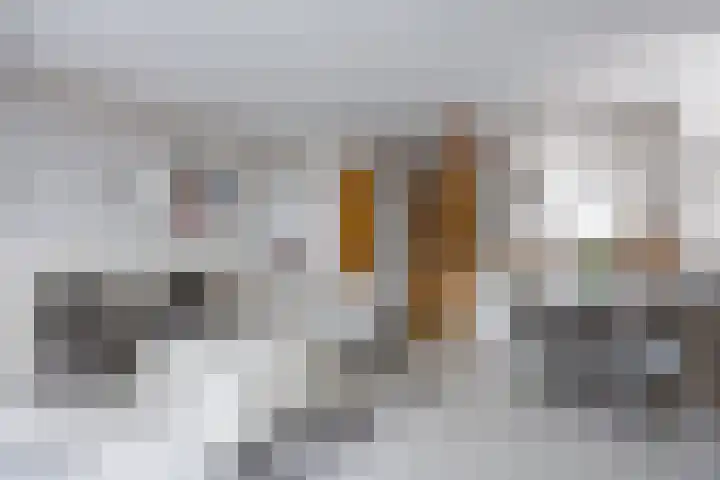 It Weidlân 19 Akkrum thumbnail 7
