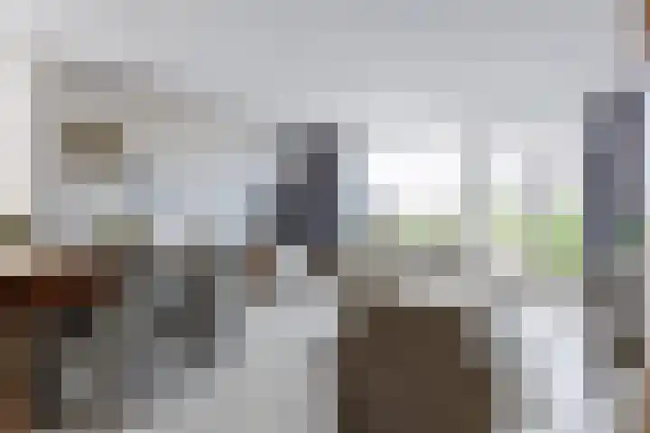 It Weidlân 19 Akkrum thumbnail 9