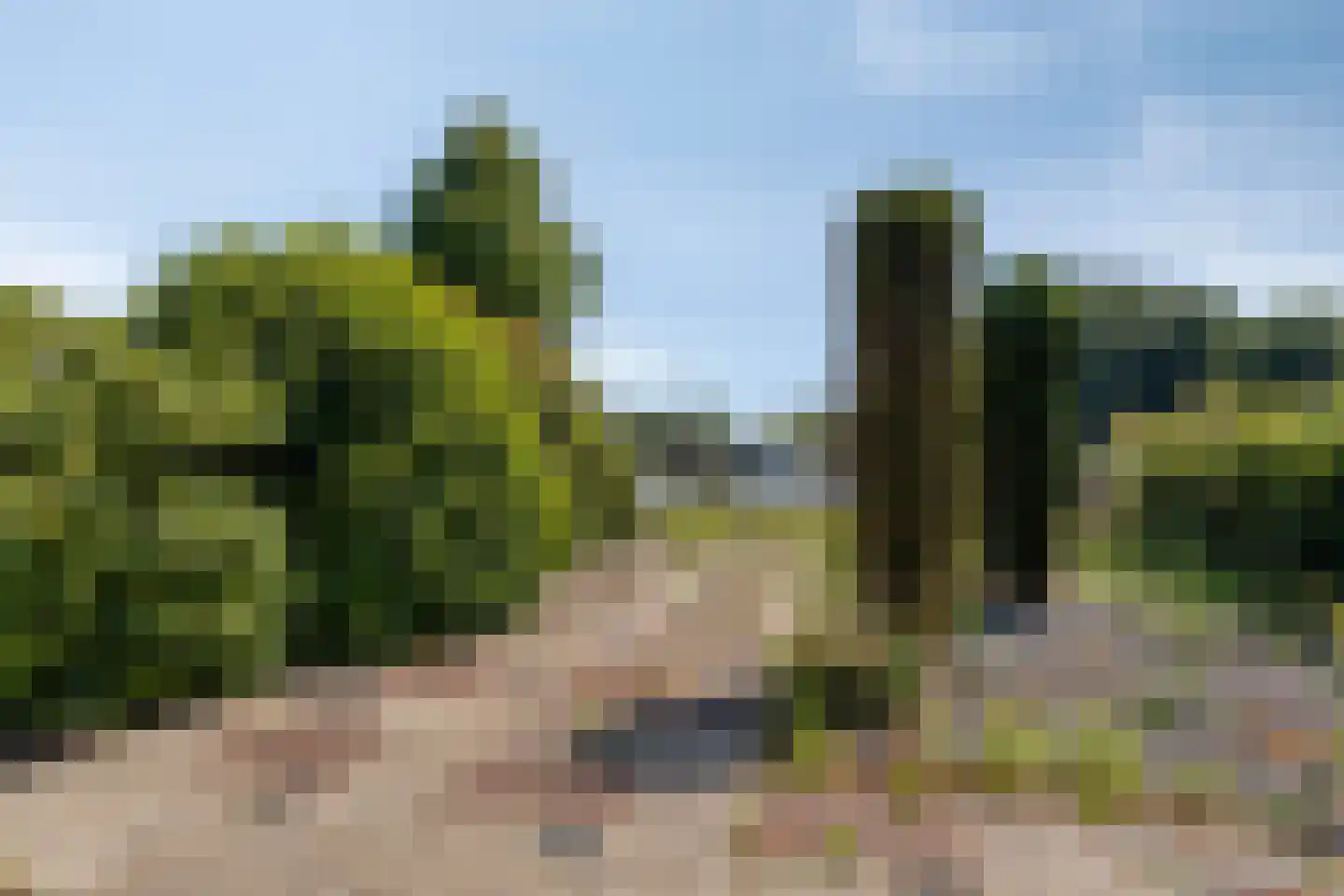 It Weidlân 20 Akkrum thumbnail 14