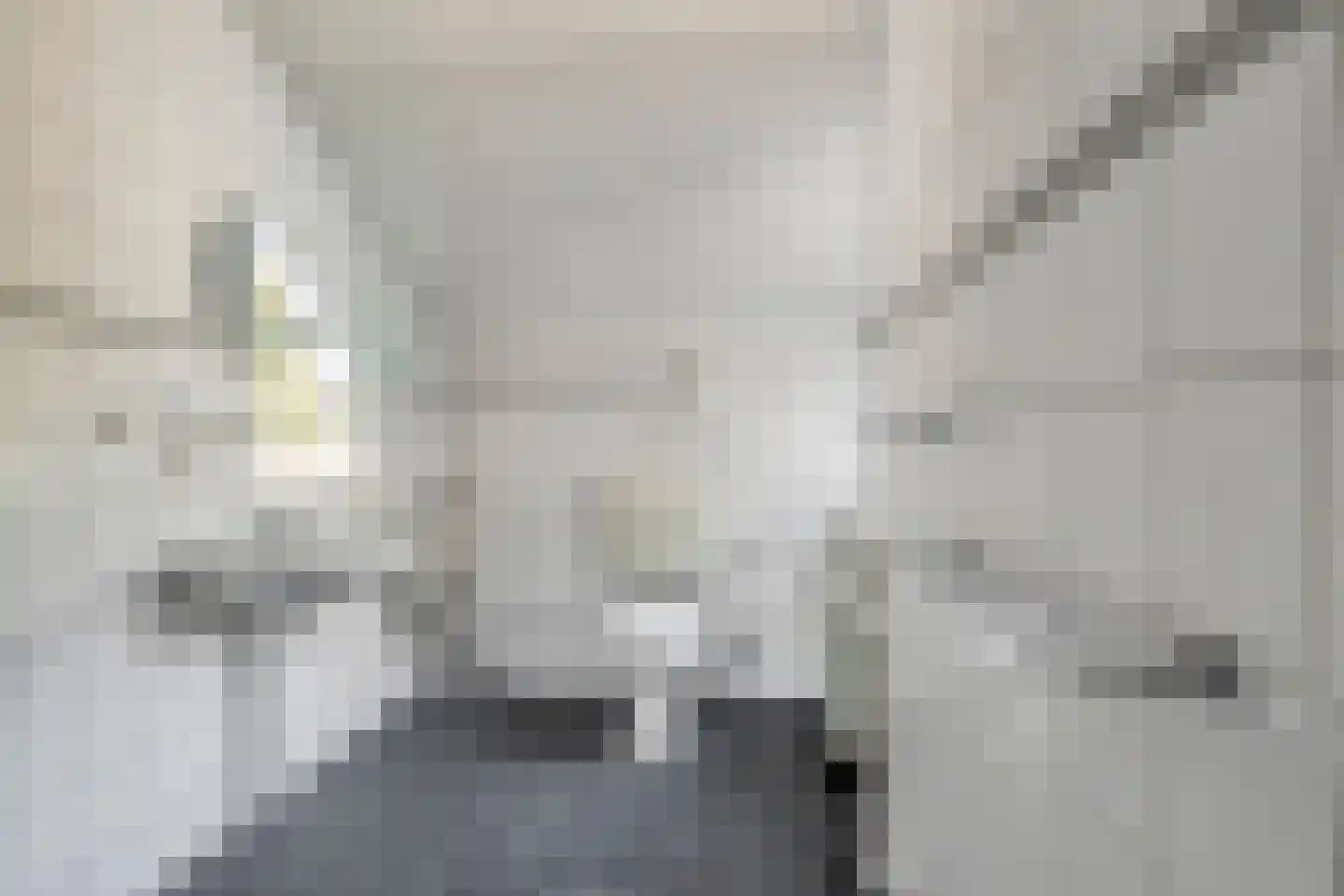 It Weidlân 20 Akkrum thumbnail 21
