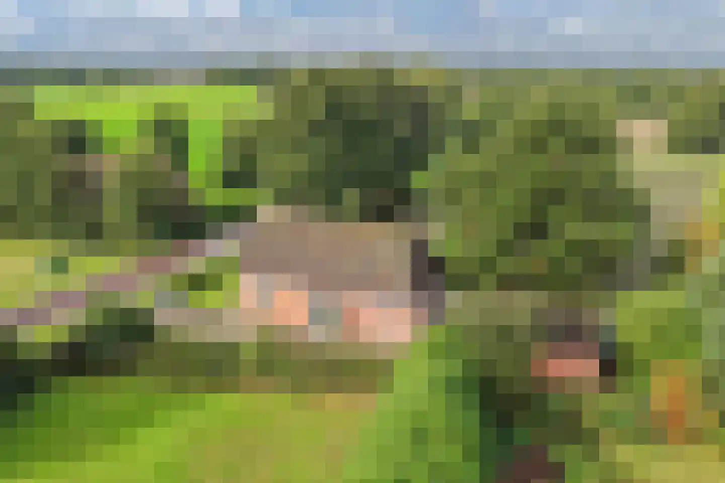 It West 52 Oudega thumbnail 37