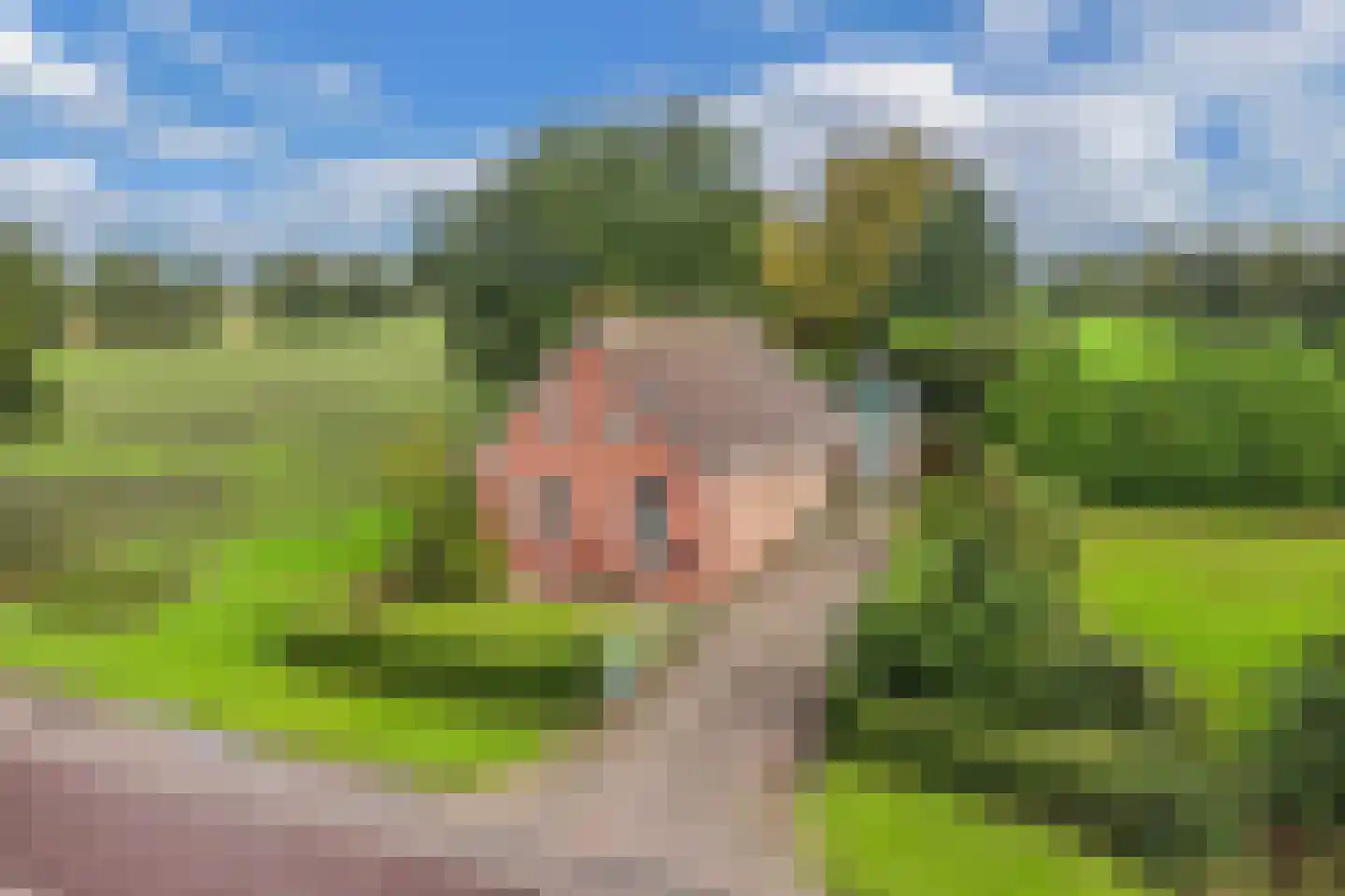 It West 52 Oudega thumbnail 39