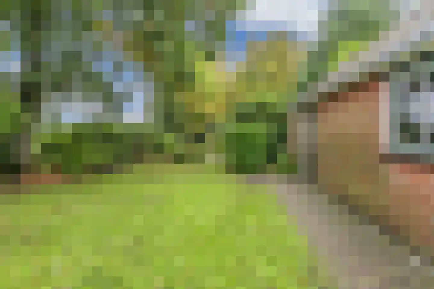 It West 52 Oudega thumbnail 42