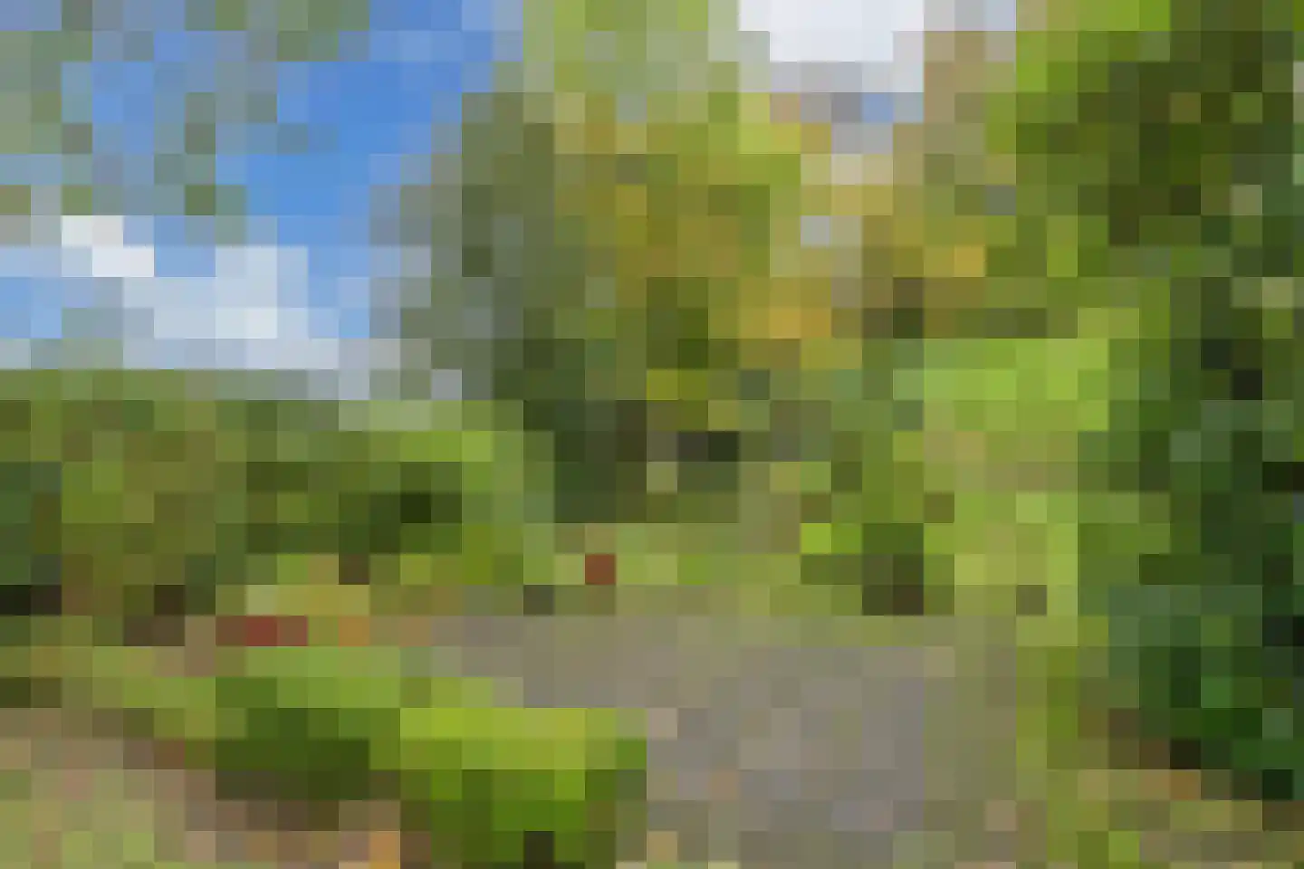 It West 52 Oudega thumbnail 44