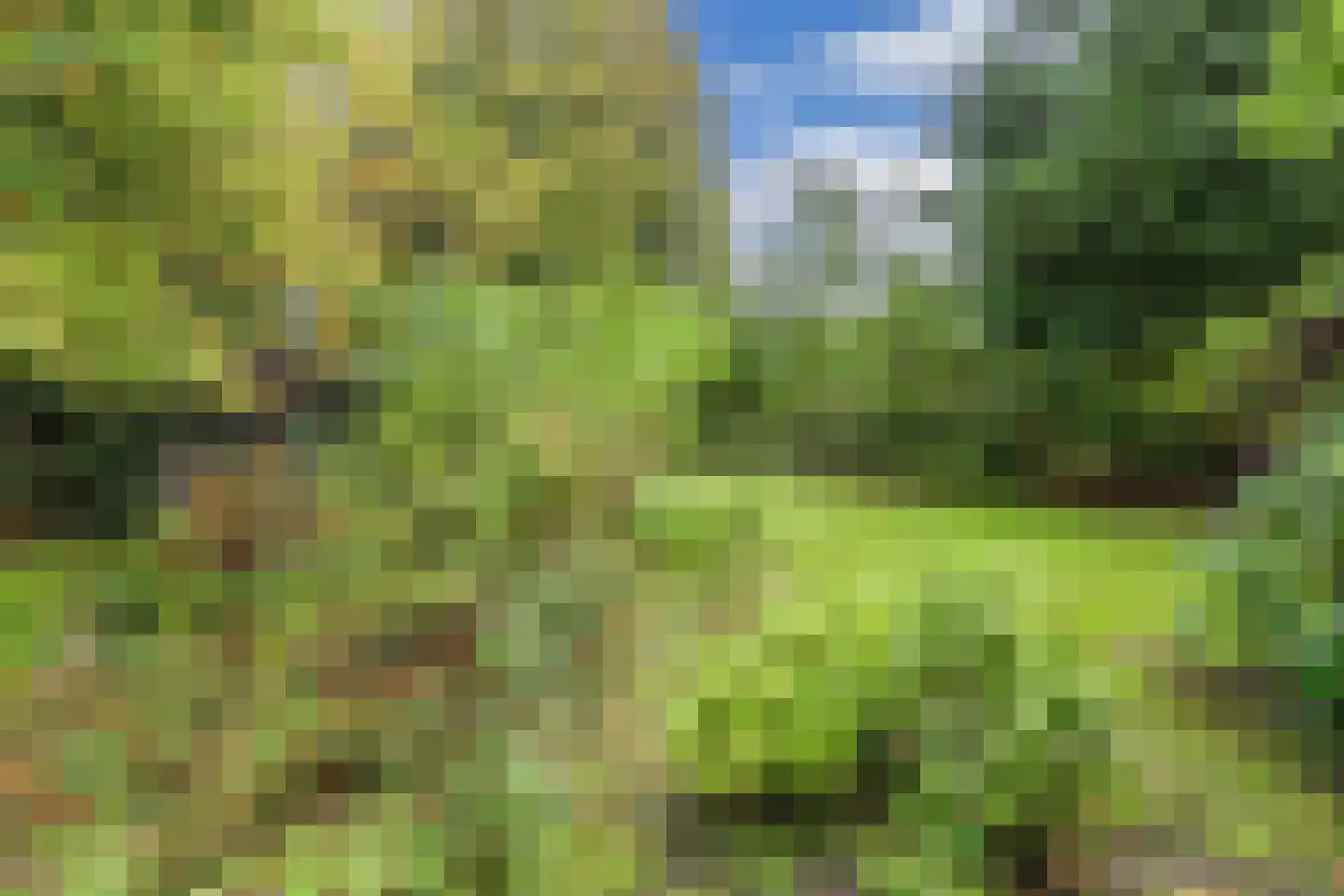 It West 52 Oudega thumbnail 45