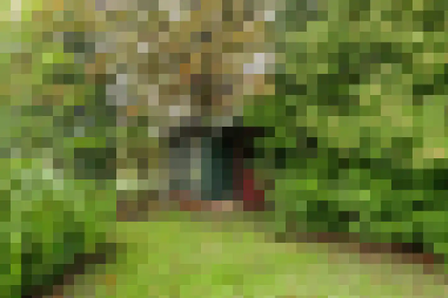 It West 52 Oudega thumbnail 46