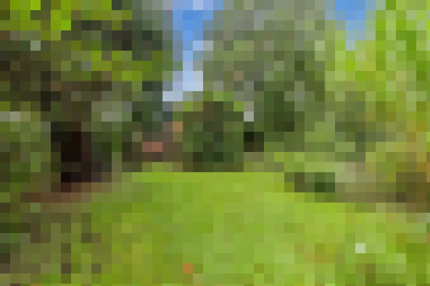 It West 52 Oudega thumbnail 47
