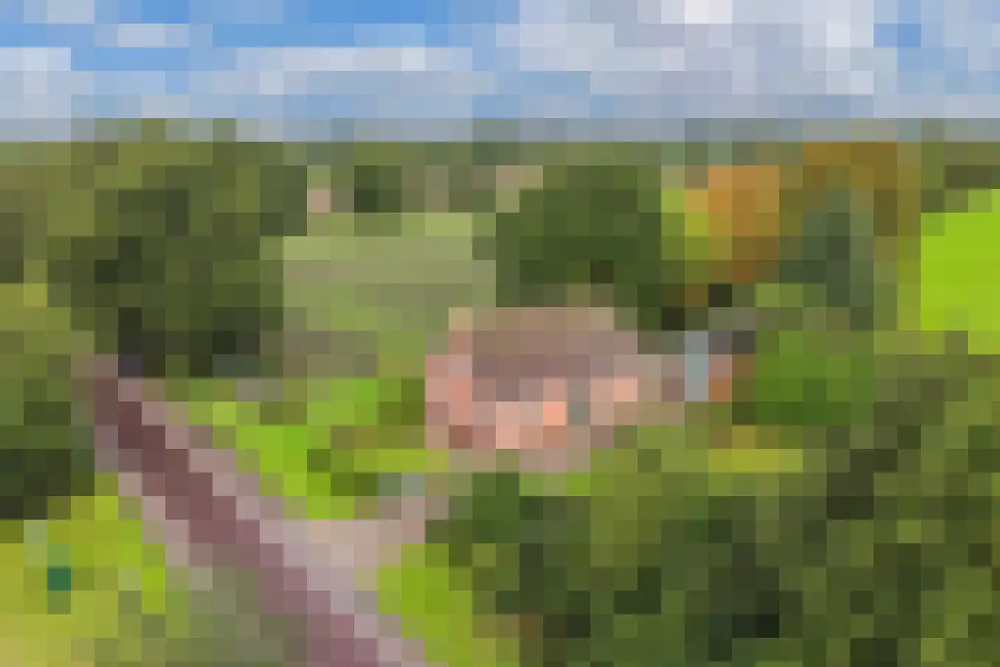 It West 52 Oudega thumbnail 7