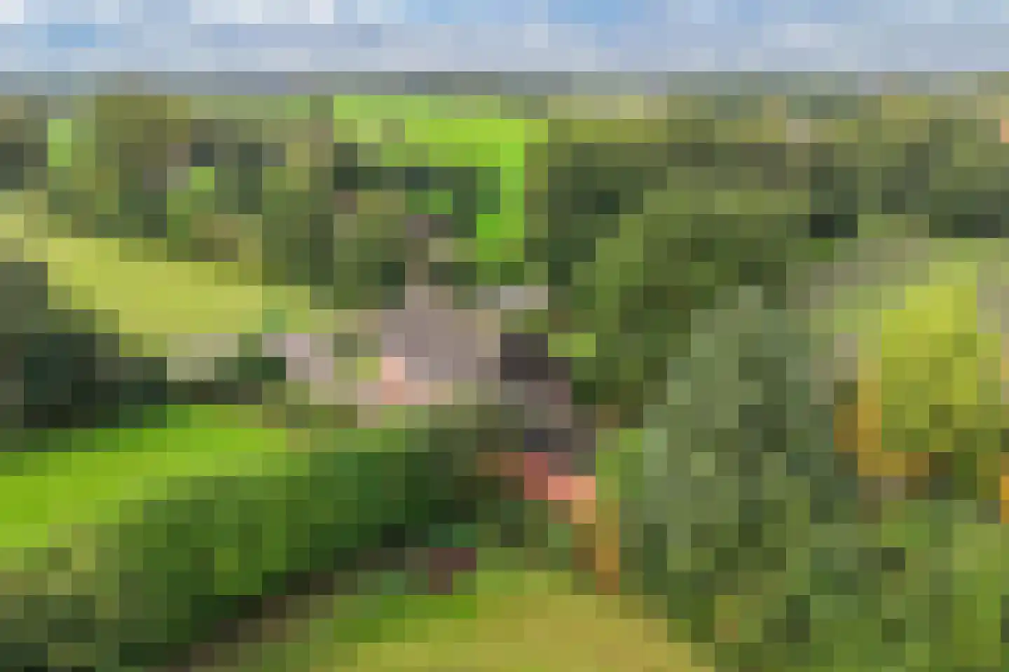 It West 52 Oudega thumbnail 8