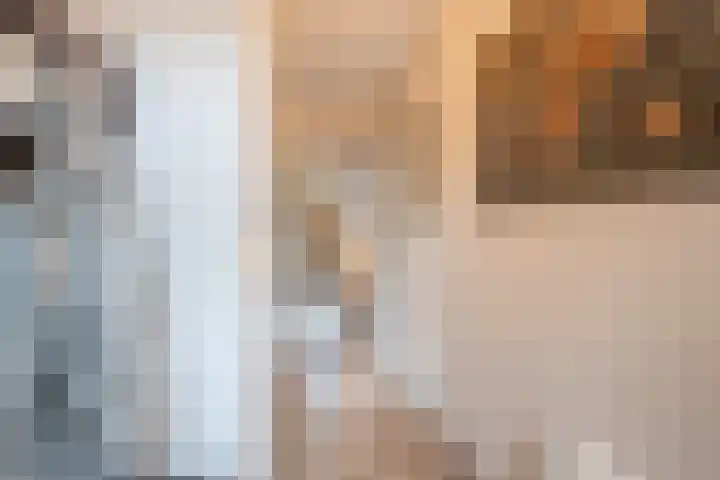 Ita Wegmanhof 5 Zutphen thumbnail 10
