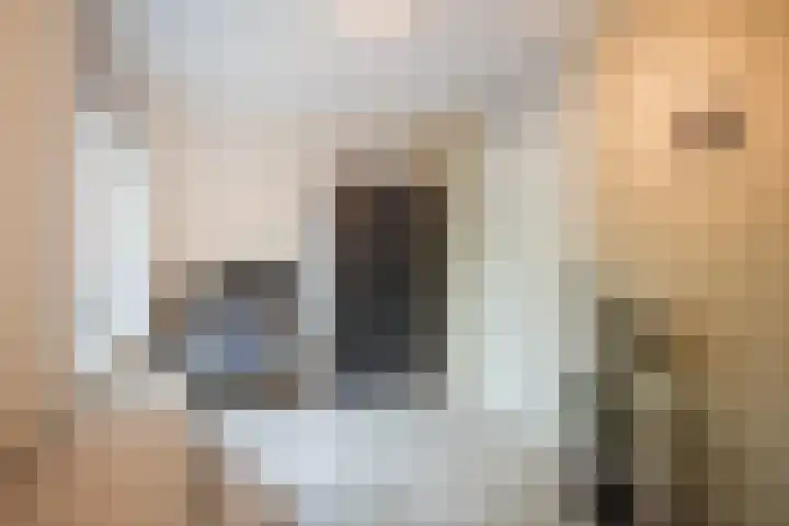 Ita Wegmanhof 5 Zutphen thumbnail 17