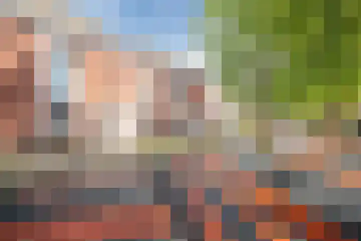 Ita Wegmanhof 5 Zutphen thumbnail 28