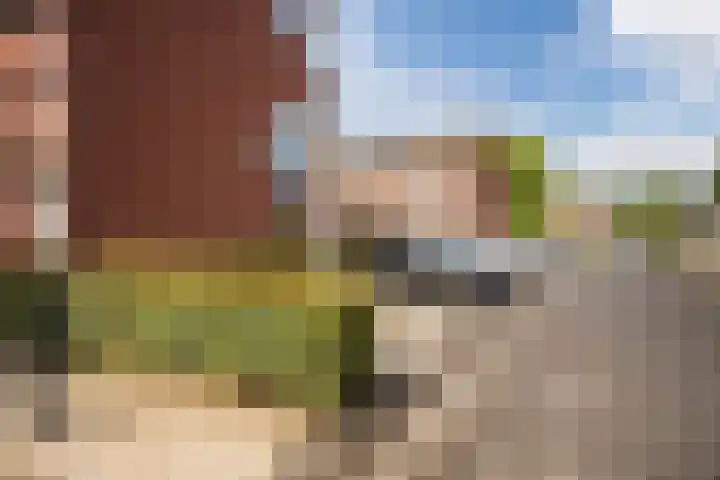 Ita Wegmanhof 5 Zutphen thumbnail 30