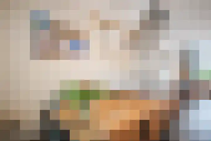 Ita Wegmanhof 5 Zutphen thumbnail 8