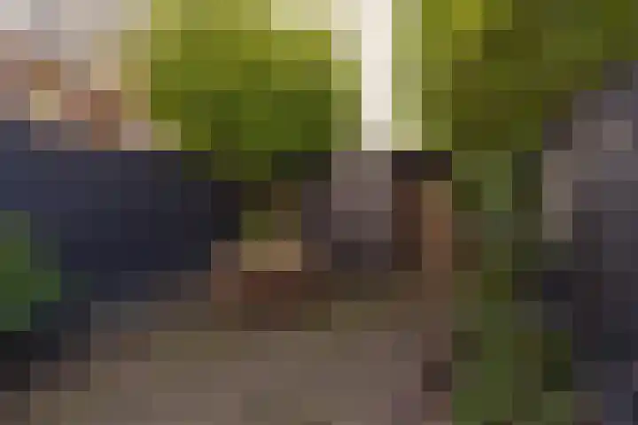 Italiaanse Zeedijk 42 Hoorn thumbnail 30
