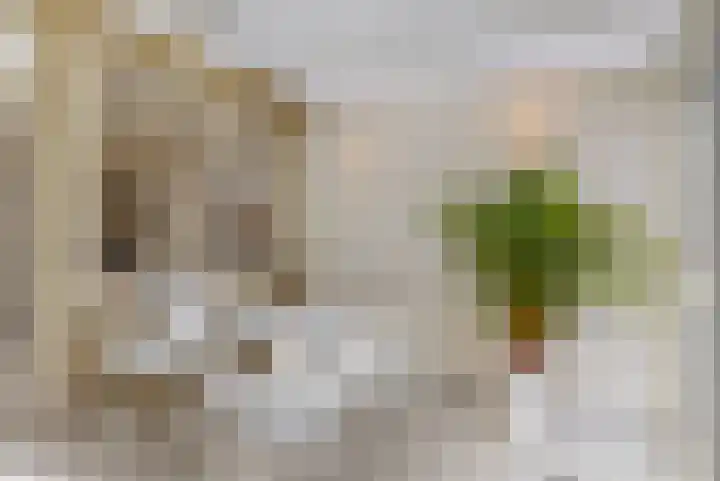 Italiaanse Zeedijk 80 Hoorn thumbnail 10