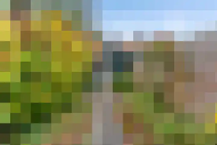 Italiaanse Zeedijk 80 Hoorn thumbnail 21