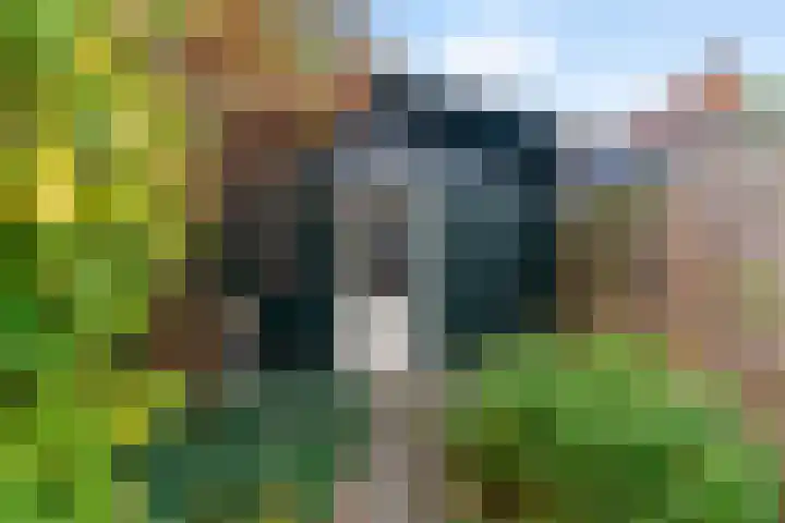 Italiaanse Zeedijk 80 Hoorn thumbnail 22