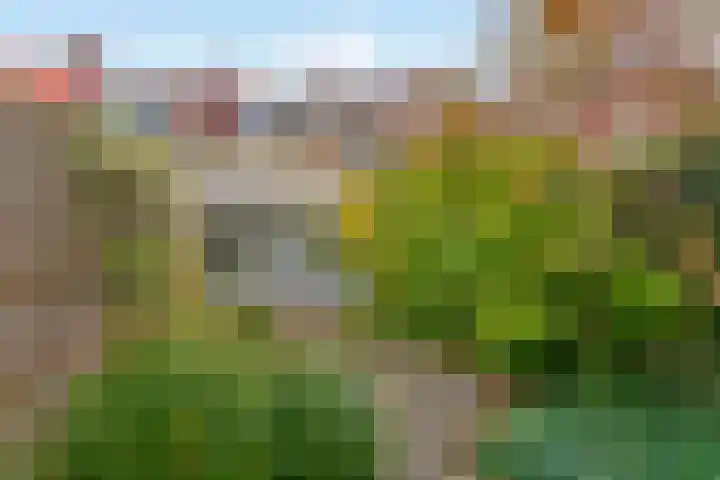 Italiaanse Zeedijk 80 Hoorn thumbnail 23