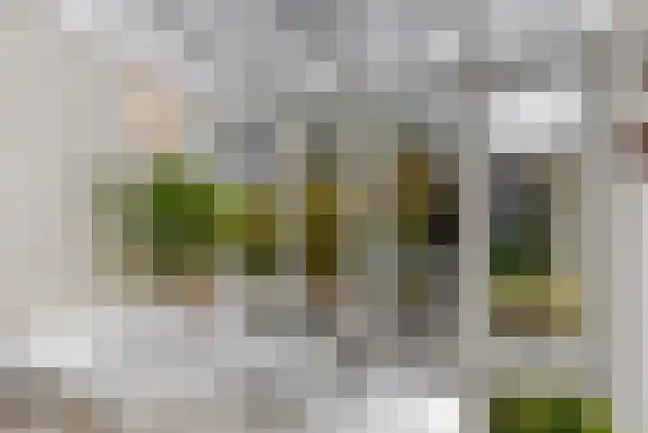 Italiaanse Zeedijk 80 Hoorn thumbnail 9
