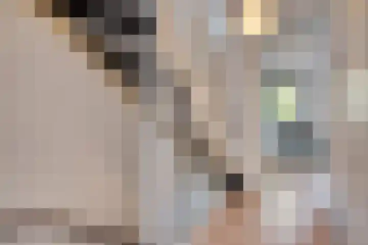 Italiaansestraat 37 Rotterdam thumbnail 12