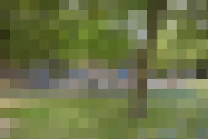Italiaansestraat 37 Rotterdam thumbnail 33
