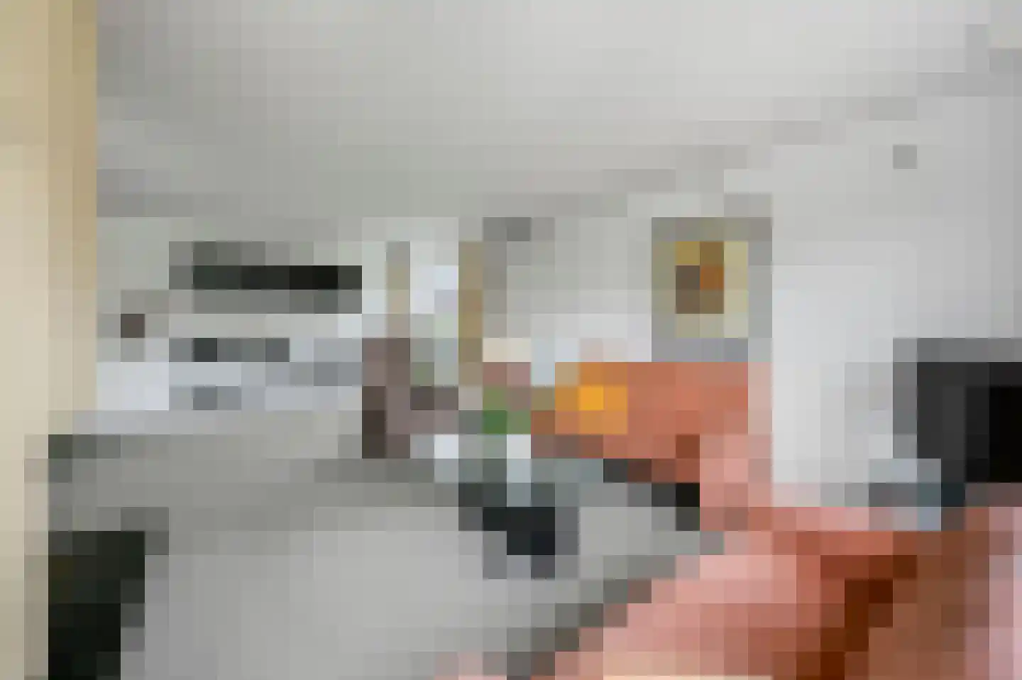 Italiaansezoom 1 Nieuwerkerk aan den IJssel thumbnail 12