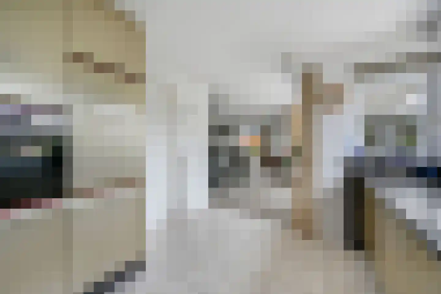 Italiaansezoom 1 Nieuwerkerk aan den IJssel thumbnail 16