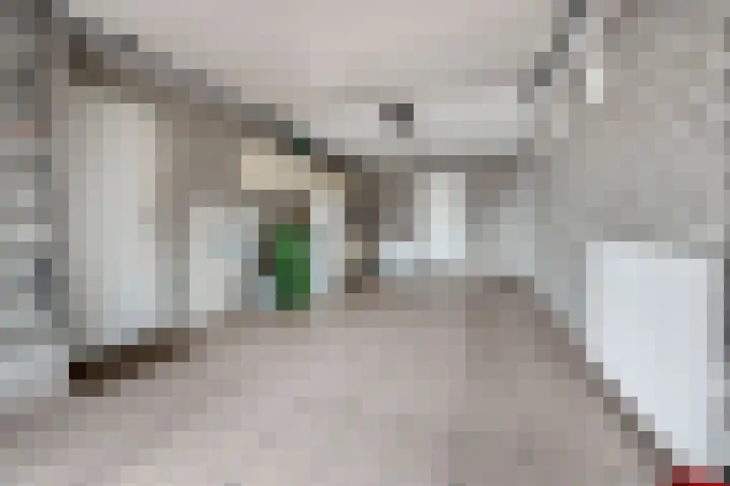 Italiaansezoom 1 Nieuwerkerk aan den IJssel thumbnail 28